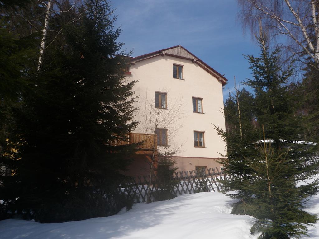 Apartmany Domino Železná Ruda 外观 照片